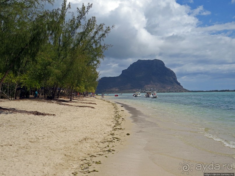 Специальный остров для барбекю