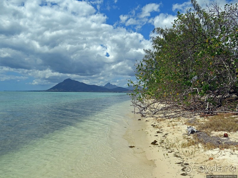 Специальный остров для барбекю