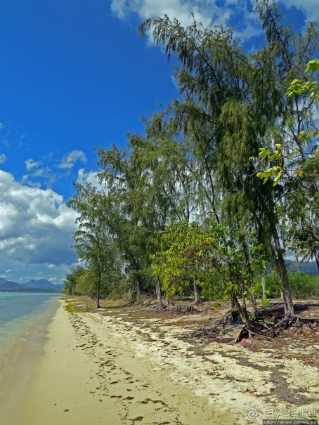 Специальный остров для барбекю