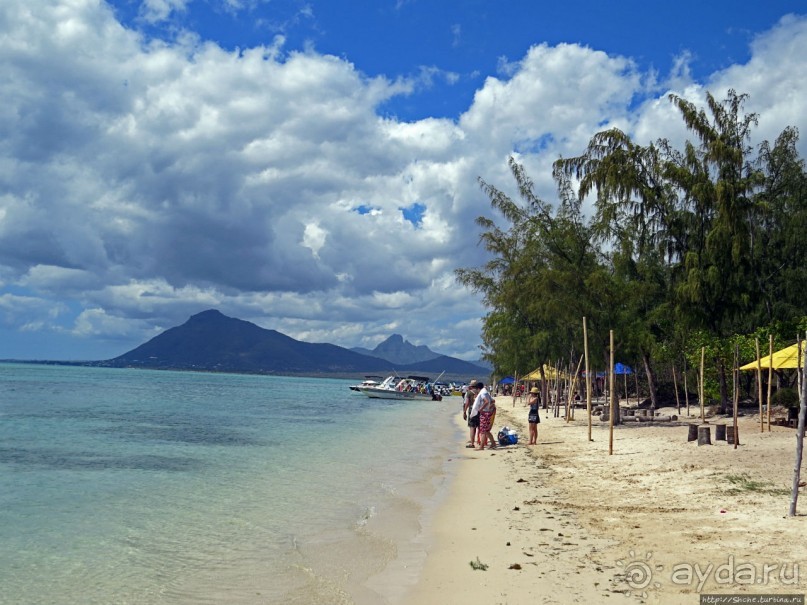 Специальный остров для барбекю