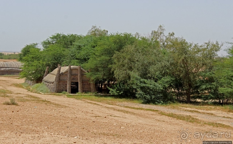 Зиккурат