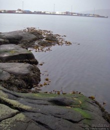 Торсхавн — столица Фарерских островов