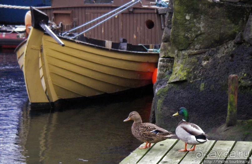 Торсхавн — столица Фарерских островов