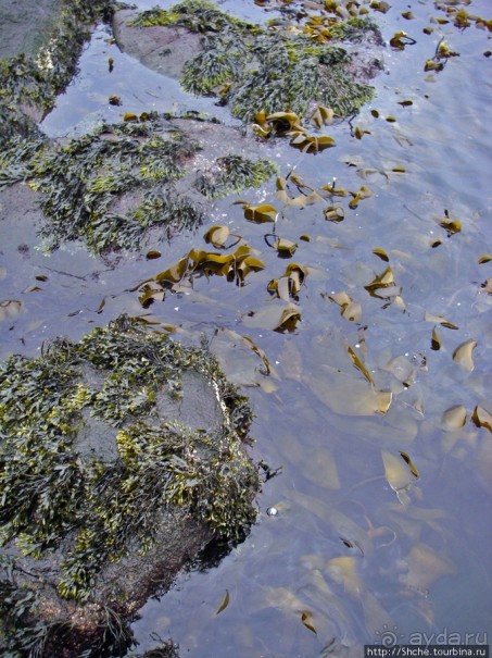 Торсхавн — столица Фарерских островов