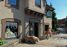 River Place — немецкая сказка для туристов в Америке