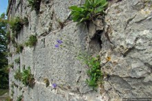Цитадель города Безансон. Прогулка по стенам крепости.