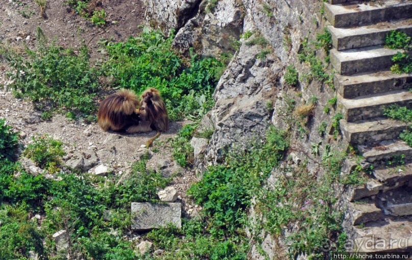 Цитадель города Безансон. Прогулка по стенам крепости.
