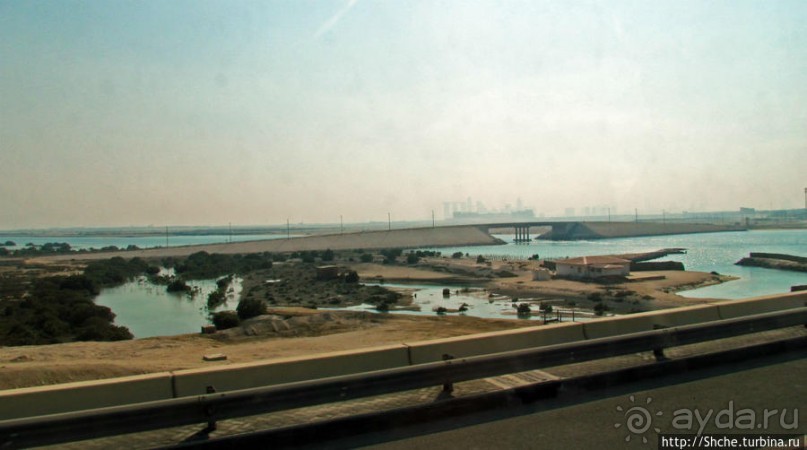 Заповедник по-эмиратски. Миллион мангровых деревьев для даби