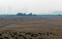 Заповедник по-эмиратски. Миллион мангровых деревьев для даби