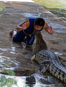 Шоу крокодилов в зоопарке Сампрана