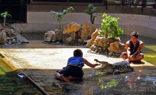 Шоу крокодилов в зоопарке Сампрана