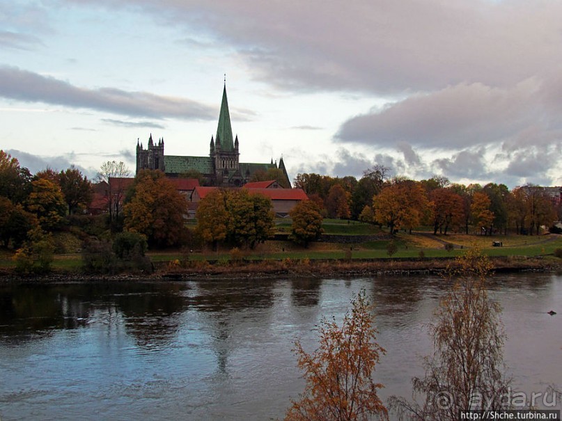 На берегах реки Нидельва (Nidelva)