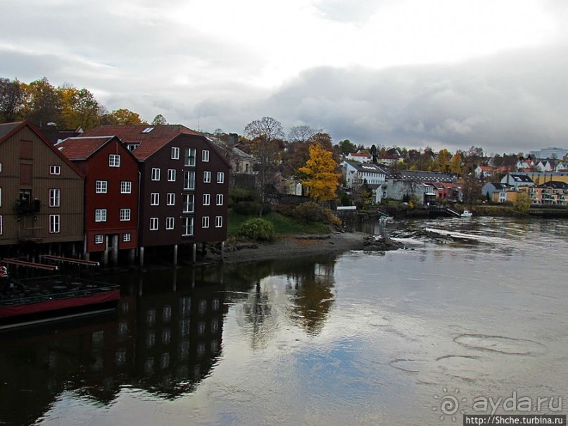 На берегах реки Нидельва (Nidelva)