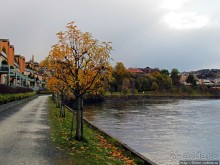 На берегах реки Нидельва (Nidelva)