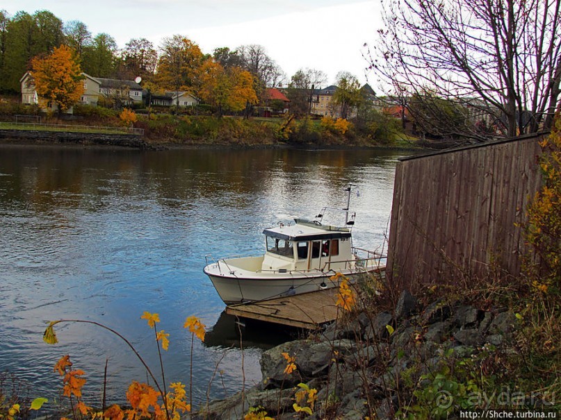 На берегах реки Нидельва (Nidelva)
