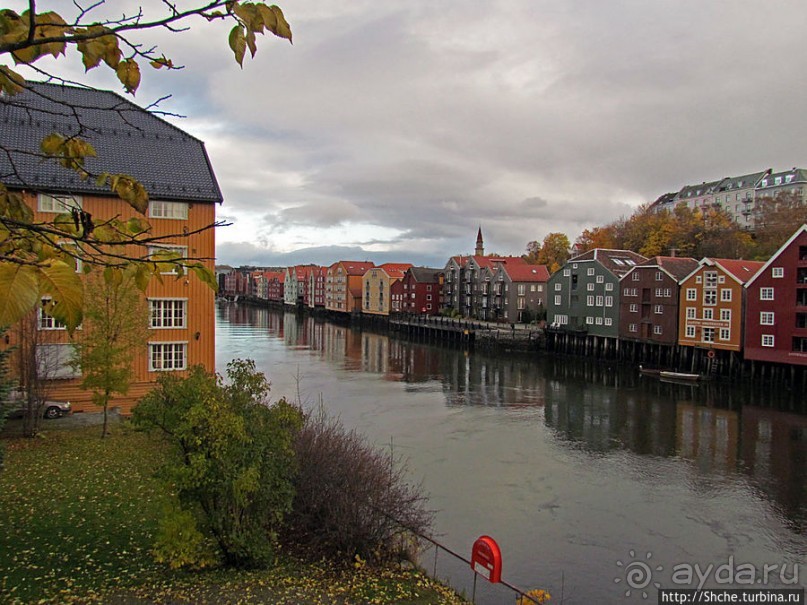 На берегах реки Нидельва (Nidelva)