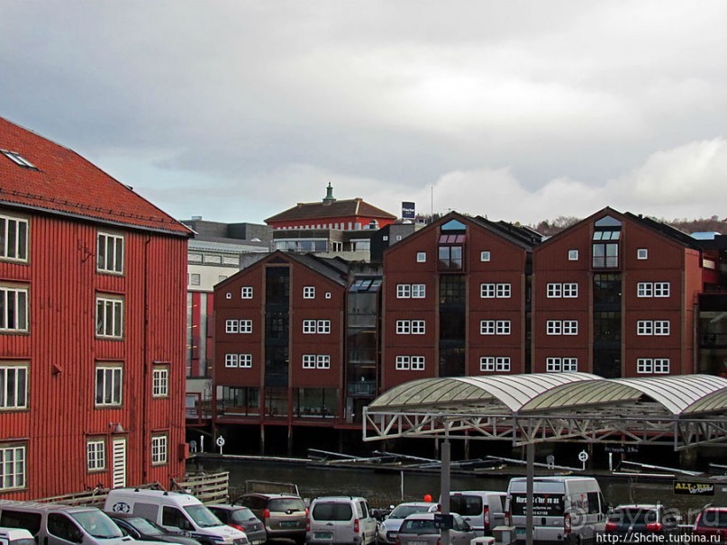 На берегах реки Нидельва (Nidelva)