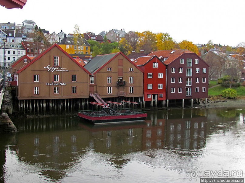 На берегах реки Нидельва (Nidelva)