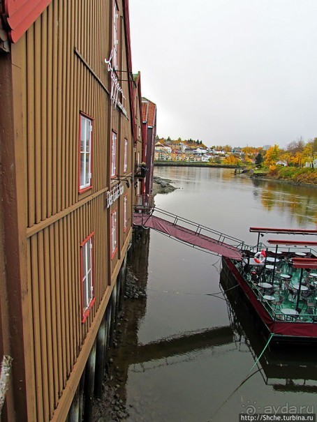 На берегах реки Нидельва (Nidelva)