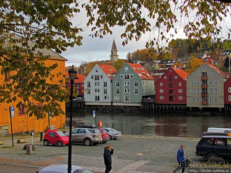 На берегах реки Нидельва (Nidelva)