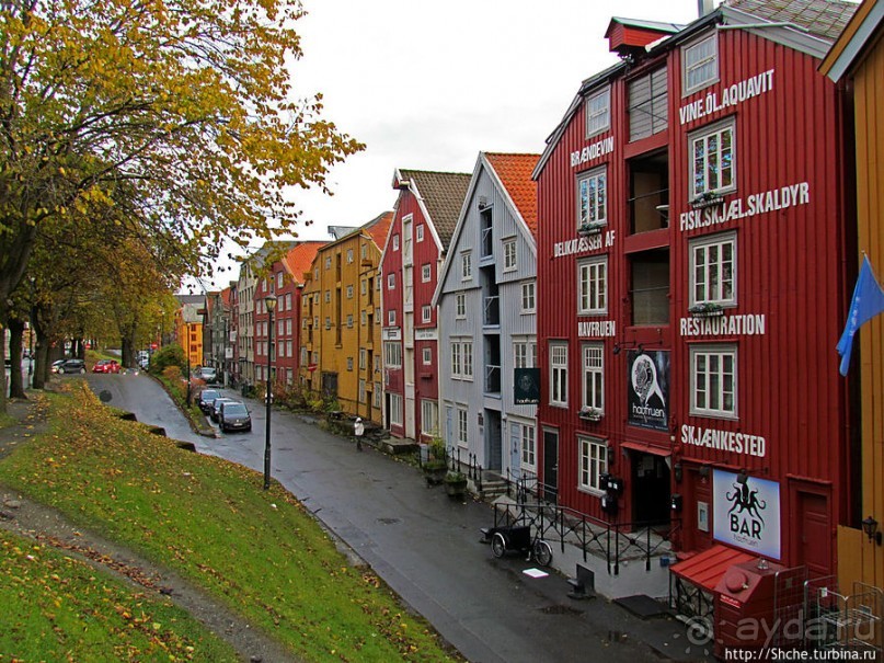 На берегах реки Нидельва (Nidelva)