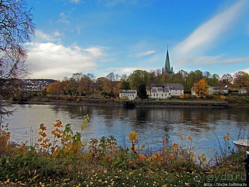 На берегах реки Нидельва (Nidelva)