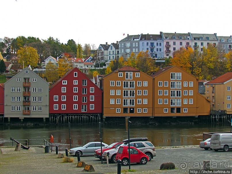 На берегах реки Нидельва (Nidelva)