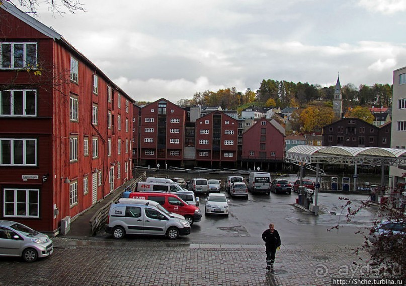 На берегах реки Нидельва (Nidelva)