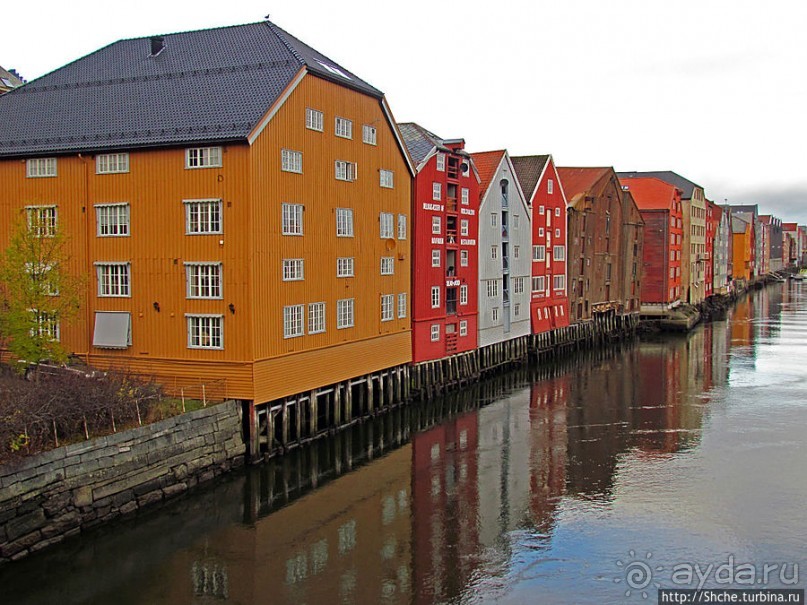 На берегах реки Нидельва (Nidelva)