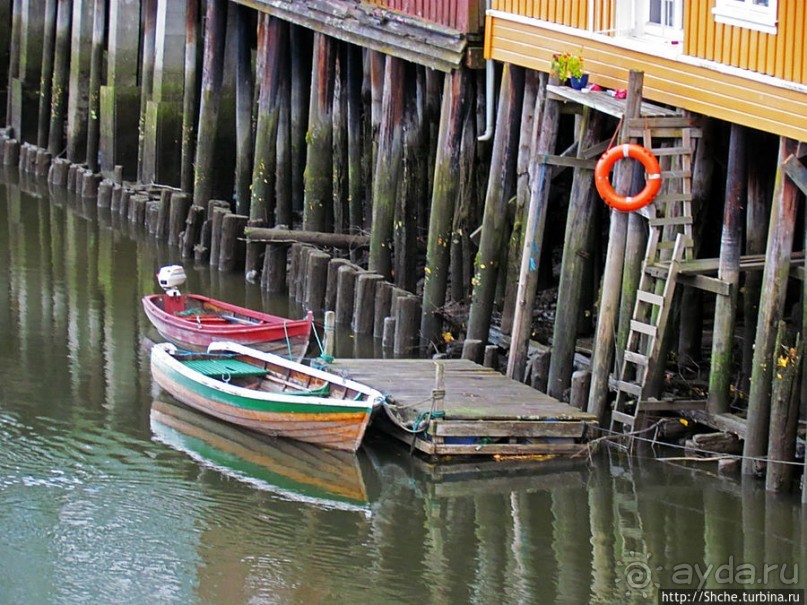 На берегах реки Нидельва (Nidelva)