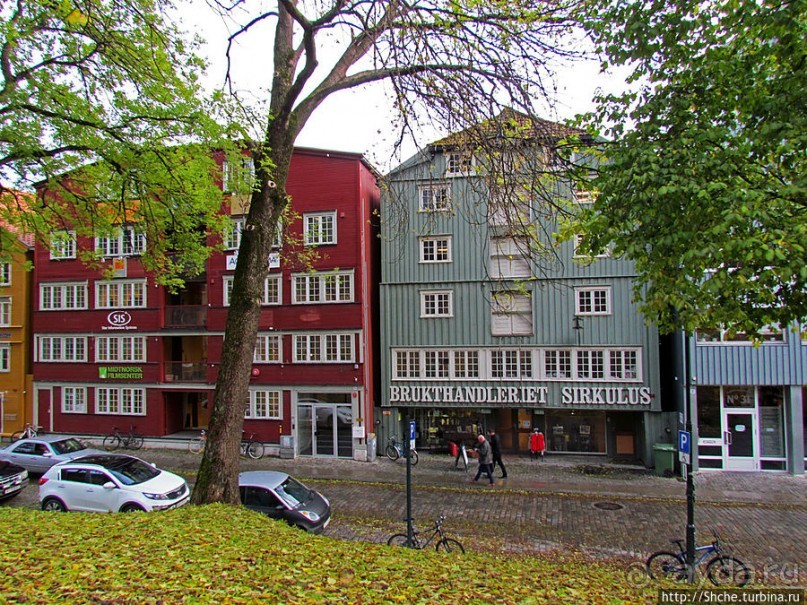 На берегах реки Нидельва (Nidelva)