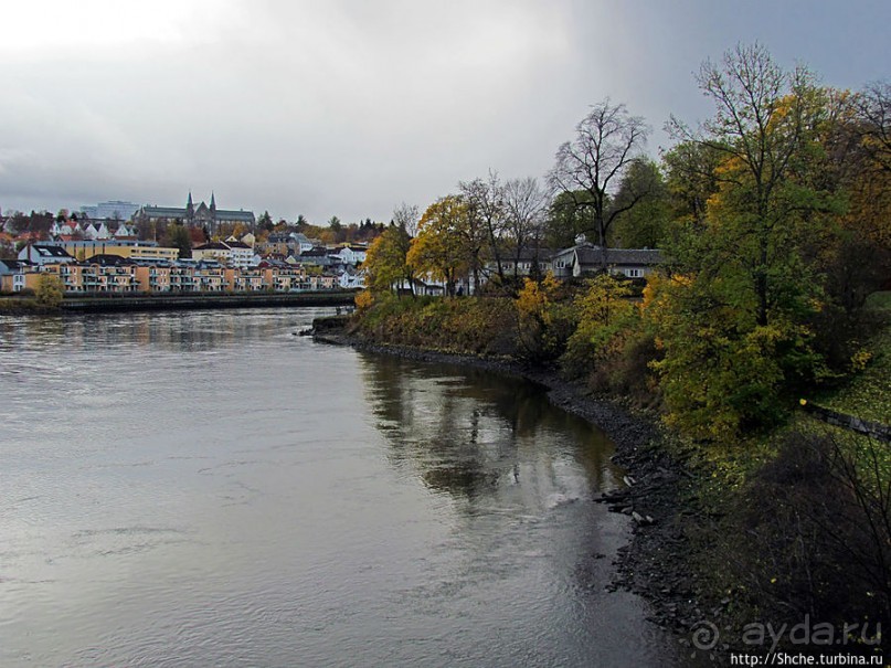 На берегах реки Нидельва (Nidelva)