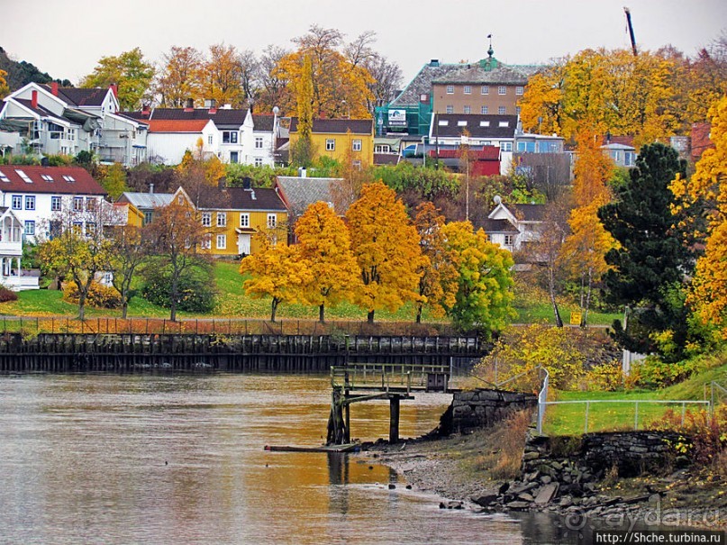 На берегах реки Нидельва (Nidelva)