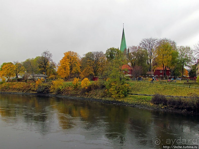 На берегах реки Нидельва (Nidelva)