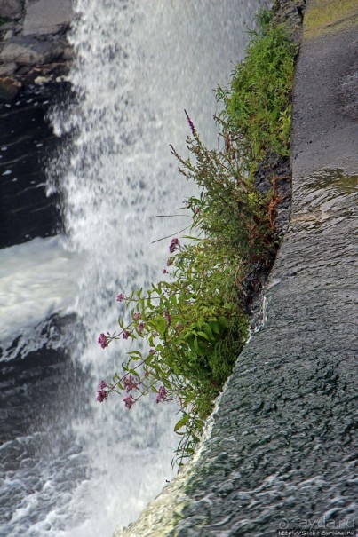 "Водяная занавеска". Водопады Ридо в Оттаве