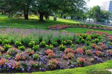 "Водяная занавеска". Водопады Ридо в Оттаве