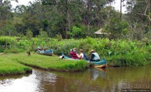 "Остров лемуров" в частном парке в "Vakona forest lodge"