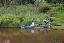"Остров лемуров" в частном парке в "Vakona forest lodge"