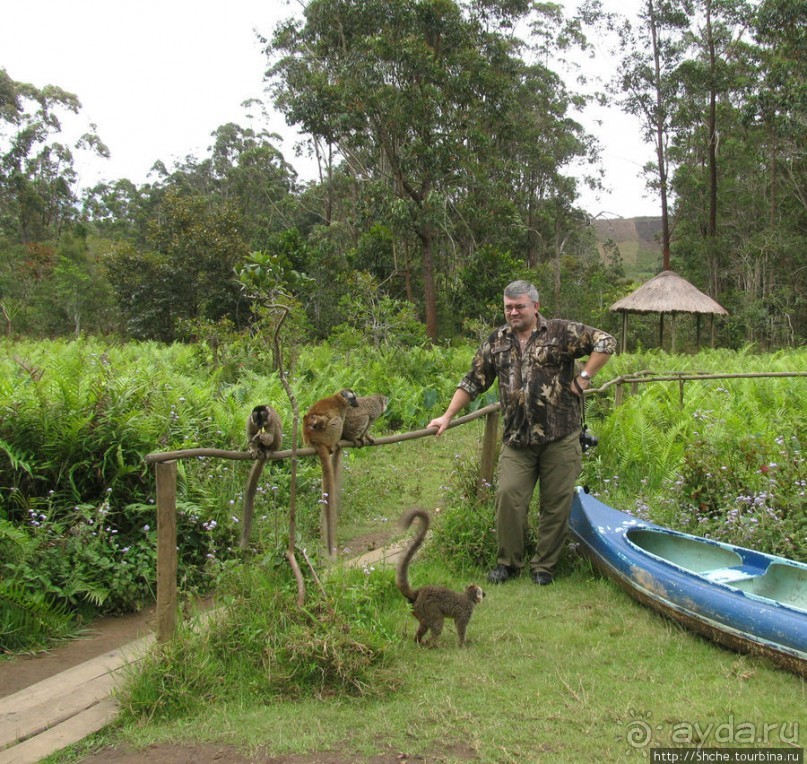 "Остров лемуров" в частном парке в "Vakona forest lodge"
