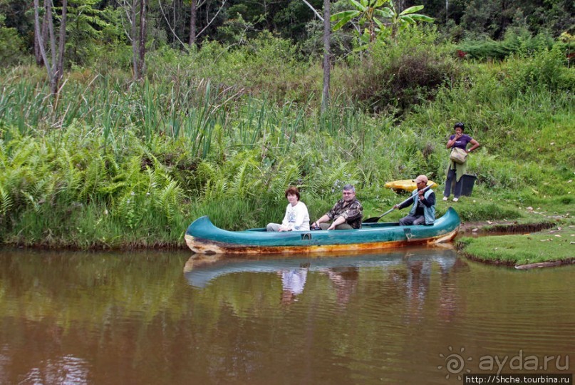 "Остров лемуров" в частном парке в "Vakona forest lodge"