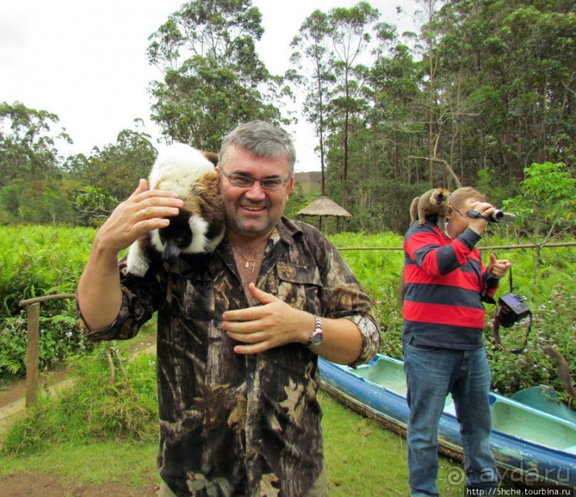"Остров лемуров" в частном парке в "Vakona forest lodge"
