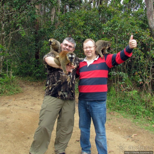 "Остров лемуров" в частном парке в "Vakona forest lodge"