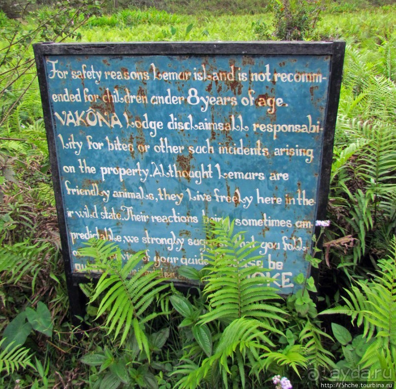 "Остров лемуров" в частном парке в "Vakona forest lodge"