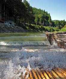 Sumigase - "правильное" место на реке Yahagi искушать айю