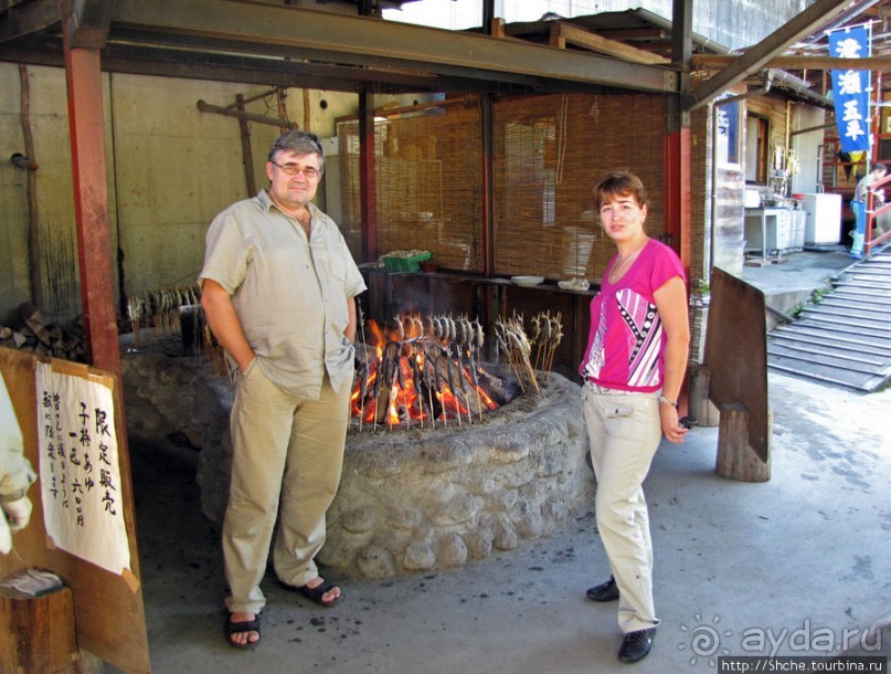 Sumigase - "правильное" место на реке Yahagi искушать айю