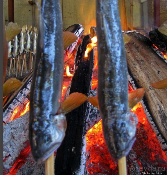 Sumigase - "правильное" место на реке Yahagi искушать айю