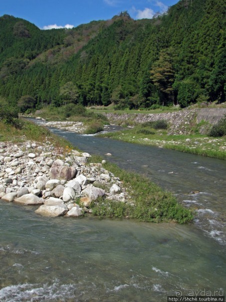 Sumigase - "правильное" место на реке Yahagi искушать айю