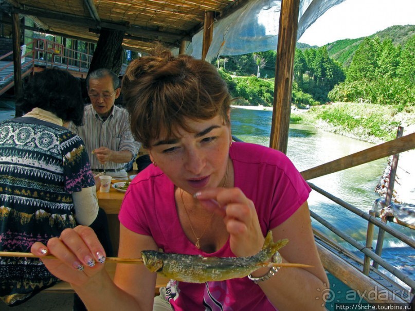 Sumigase - "правильное" место на реке Yahagi искушать айю
