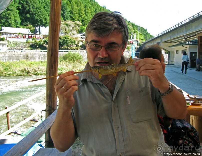 Sumigase - "правильное" место на реке Yahagi искушать айю