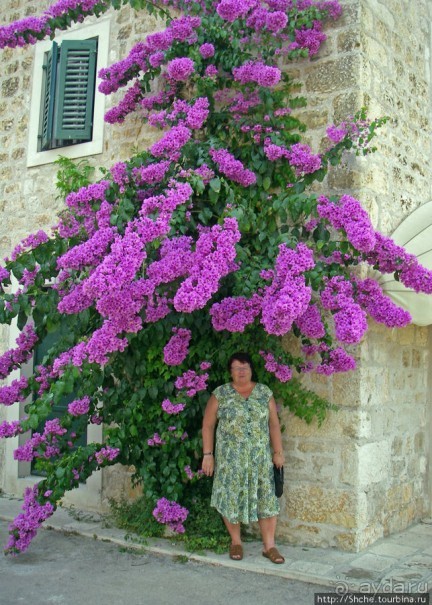 Супетар - небольшой живописный городок на острове Брач